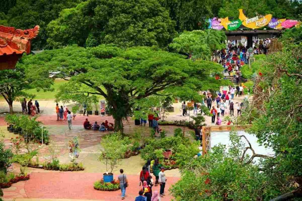 Taman Wisata Mekarsari Bogor Lokasi Harga Tiket Daya