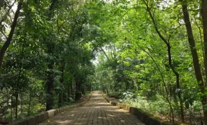 Hutan Kota Srengseng Jakarta