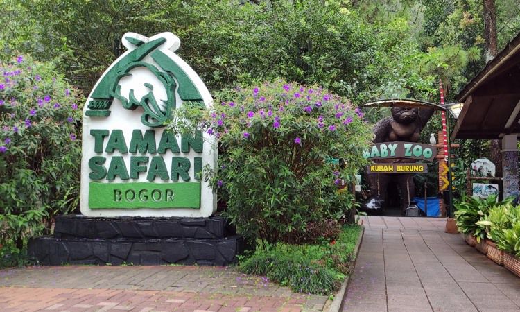 Gambar Alamat Taman Safari Bogor