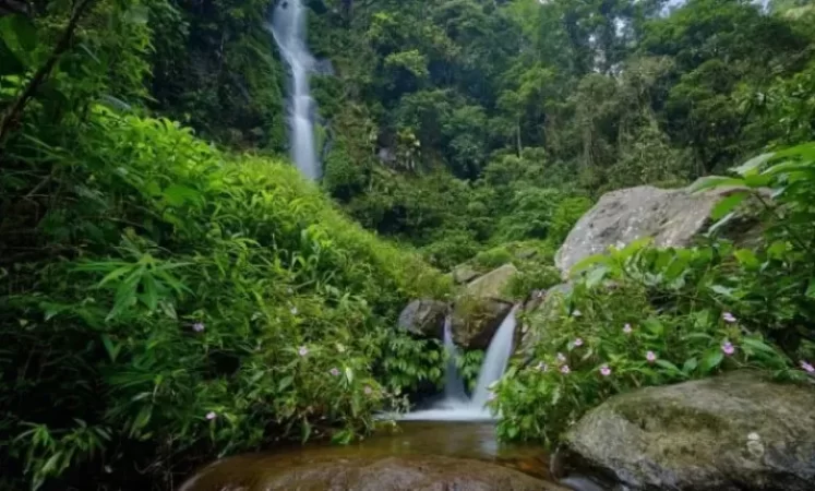 Air Terjun Semirang Semarang