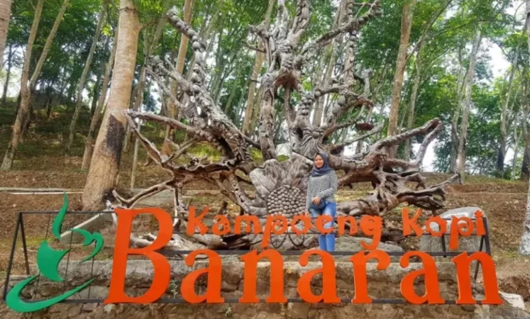 Kampung Kopi Banaran Ambarawa
