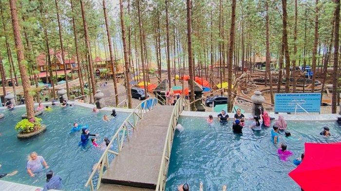 Guci Forest