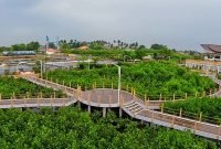 Taman Mangrove Ketapang