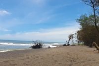 7 Pantai Tersembunyi di Bantul Yogyakarta, Surga Alam yang Masih Alami dan Sarat Aktivitas Keluarga