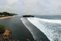 Pesona Pantai Sadranan Gunungkidul: Surga Lautan Tropis dengan Keindahan Bawah Laut yang Menawan