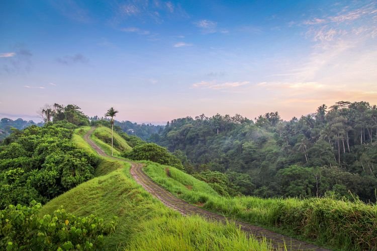 Bukit Campuhan Bali