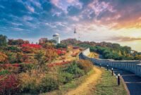 5 Hutan Terindah di Korea yang Wajib Dikunjungi Saat Musim Gugur Tiba