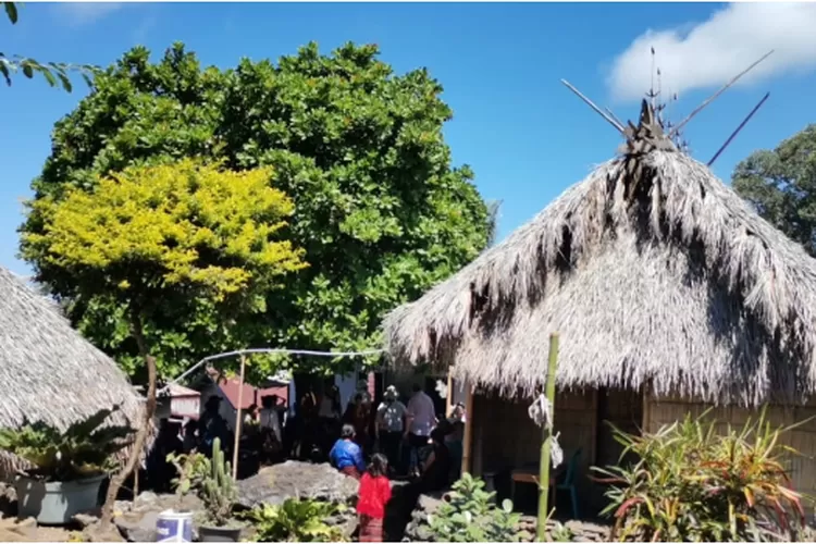 Kampung Adat Lamahelan, Jejak Kearifan Lokal di Flores Timur yang Masih Terjaga