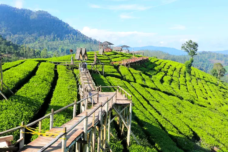Wayang Windu Panenjoan, Wisata Alam Pangalengan dengan Panorama Pegunungan