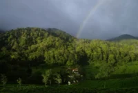 Desa Wisata Malasari, Harmoni Alam dan Kehidupan Desa di Kaki Gunung Halimun