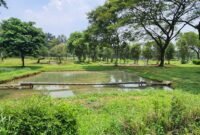 Kebun Wisata Pasirmukti Bogor
