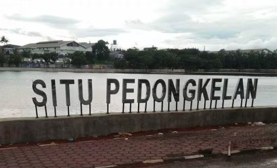 Setu Pedongkelan Depok , Oase Air di Perbatasan Jakarta yang Menyimpan Cerita Transformasi