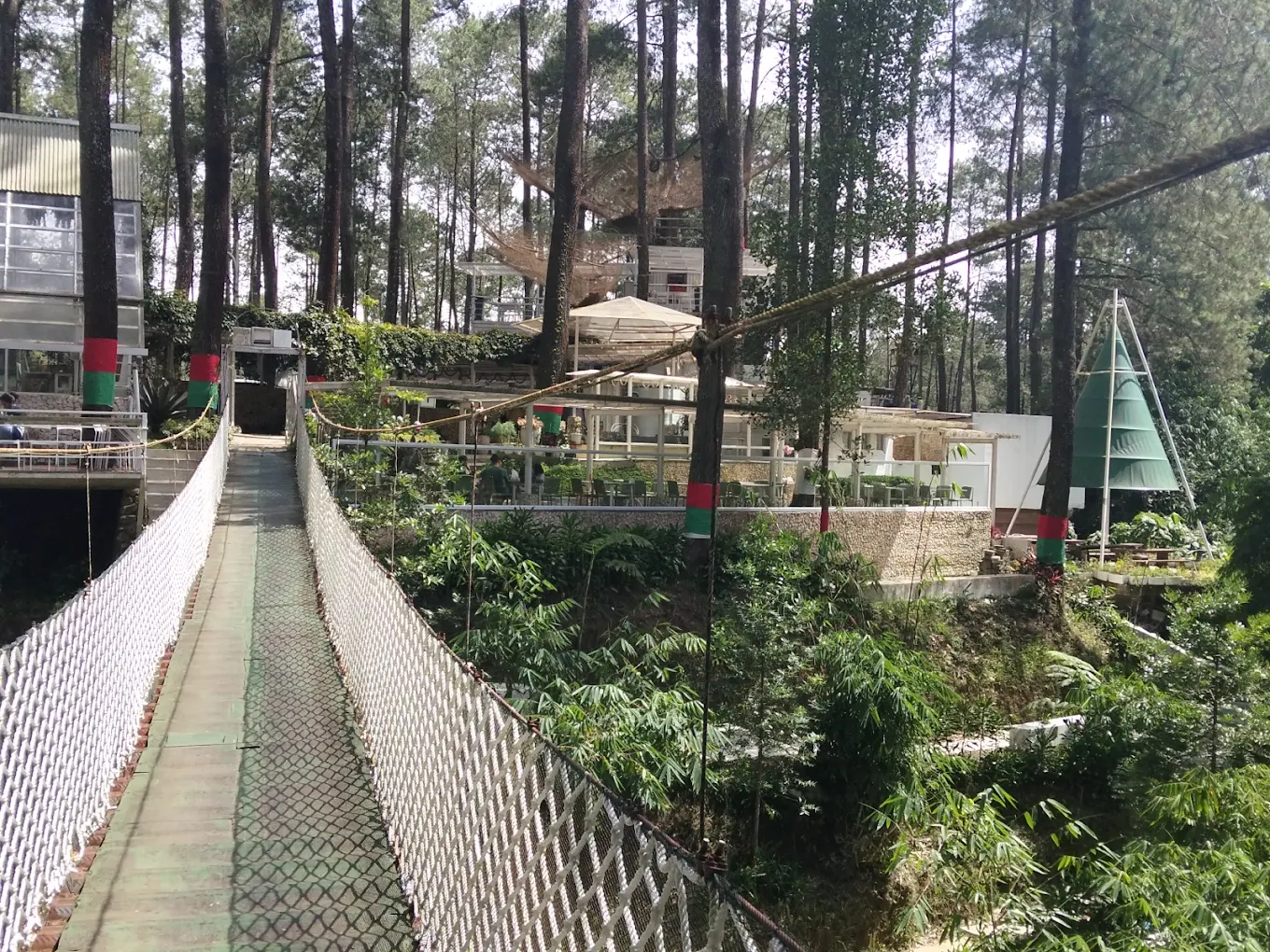 5 Kafe Bernuansa Hutan Pinus di Bandung yang Cocok untuk Healing saat Long Weekend