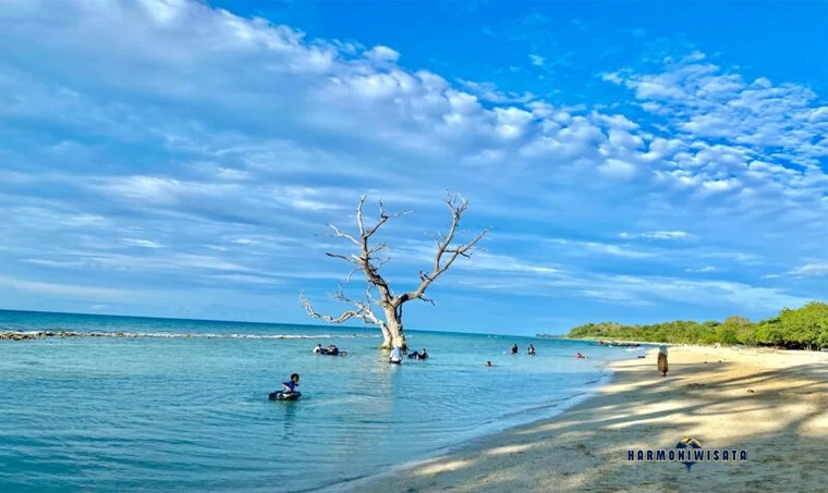 Pantai Lhok Mee Aceh, Surga Pasir Putih dengan Pohon Cemara Unik di Tengah Laut