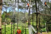 Bandung Treetop Adventure Park - Harga Tiket, Jam Buka, Wahana dan Lokasinya