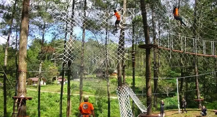 Bandung Treetop Adventure Park - Harga Tiket, Jam Buka, Wahana dan Lokasinya