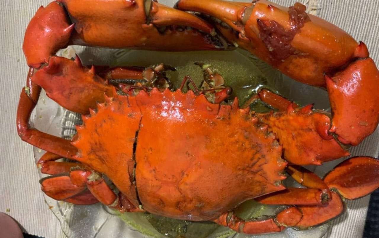 Kepiting Saus Padang Singkil