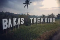 11 Desa Wisata di Bali yang Menawarkan Alam, Budaya, dan Pengalaman Berbeda