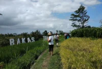 Desa Wisata Bakas Bali, Destinasi Wisata dengan Ragam Aktivitas Menarik