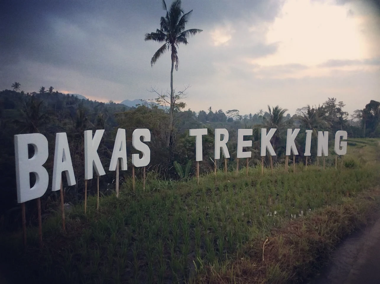 11 Desa Wisata di Bali yang Menawarkan Alam, Budaya, dan Pengalaman Berbeda