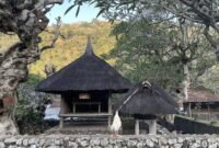 Desa Wisata Tenganan Pegringsingan, Menyusuri Jejak Bali Aga dan Tradisi Perang Pandan
