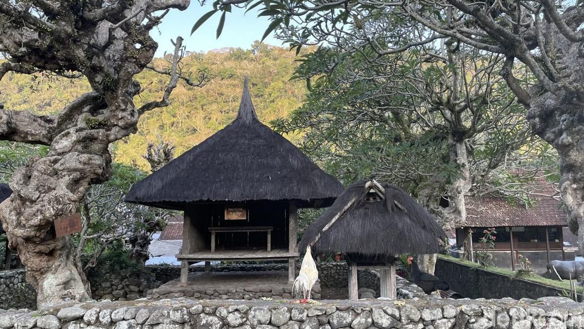 Desa Wisata Tenganan Pegringsingan, Menyusuri Jejak Bali Aga dan Tradisi Perang Pandan