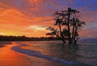 Pantai Pasir Putih Lhok Mee Aceh Besar - Daya Tarik, Harga Tiket, dan Rute