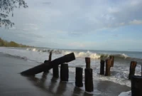Pantai Cemara Indah Aceh Singkil, Pesona Pasir Putih dan Rindangnya Pohon Cemara